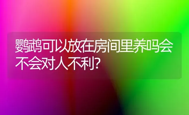 鹦鹉可以放在房间里养吗会不会对人不利？ | 动物养殖问答