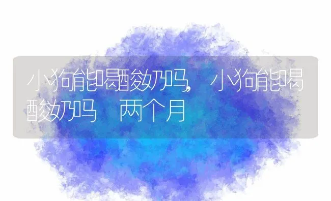 小狗能喝酸奶吗,小狗能喝酸奶吗 两个月 | 宠物百科知识