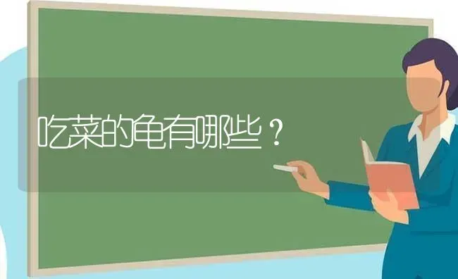 4个月的布偶猫可以养熟吗？ | 动物养殖问答