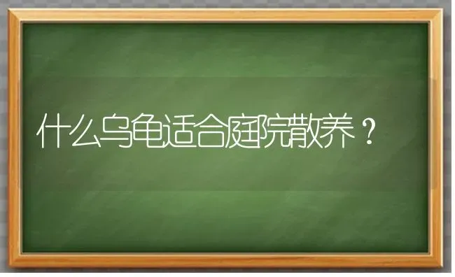 什么乌龟适合庭院散养？ | 动物养殖问答