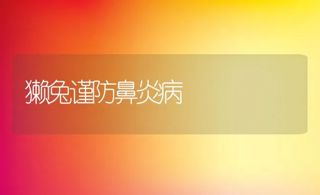 獭兔谨防鼻炎病 | 水产养殖知识