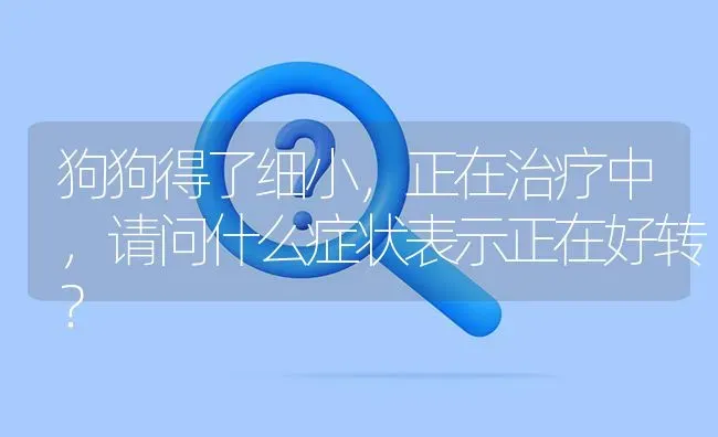 狗狗得了细小，正在治疗中，请问什么症状表示正在好转？ | 动物养殖问答