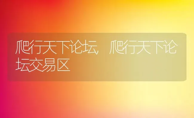 血生化检查项目有哪些,血生化检查项目有哪些多少钱 | 宠物百科知识