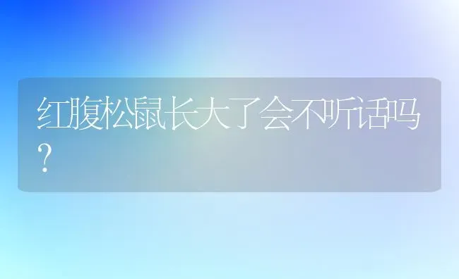 红腹松鼠长大了会不听话吗？ | 动物养殖问答