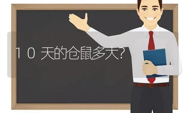 萨摩耶到几个月不长了，可以长多大？ | 动物养殖问答