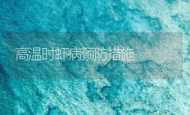 高温时虾病预防措施 | 海水养殖技术