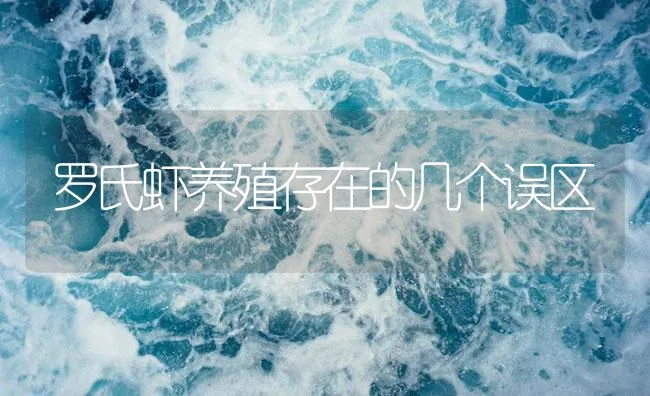 罗氏虾养殖存在的几个误区 | 海水养殖技术