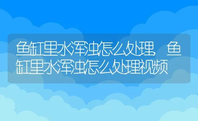 鱼缸里水浑浊怎么处理,鱼缸里水浑浊怎么处理视频 | 宠物百科知识