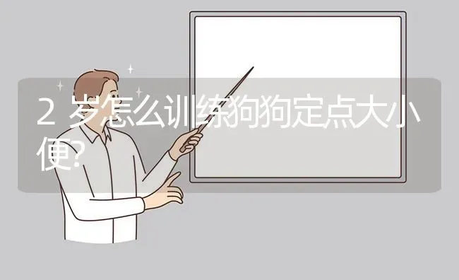 2岁怎么训练狗狗定点大小便？ | 动物养殖问答