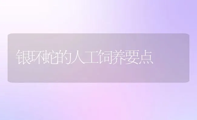 银环蛇的人工饲养要点 | 动物养殖学堂