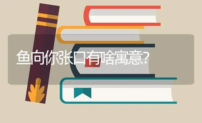 鱼向你张口有啥寓意？ | 鱼类宠物饲养