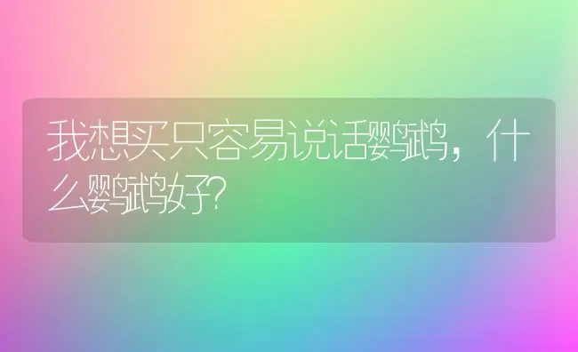 我想买只容易说话鹦鹉，什么鹦鹉好？ | 动物养殖问答