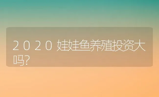 2020娃娃鱼养殖投资大吗？ | 动物养殖百科