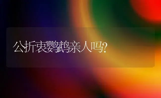 公折衷鹦鹉亲人吗？ | 动物养殖问答