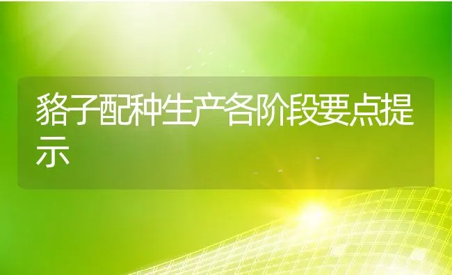 貉子配种生产各阶段要点提示 | 水产养殖知识