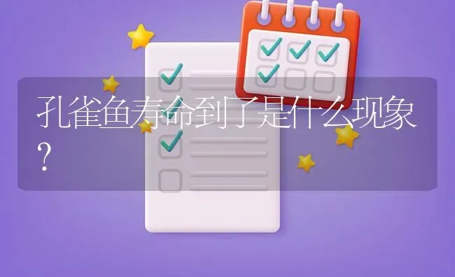 孔雀鱼寿命到了是什么现象？ | 鱼类宠物饲养
