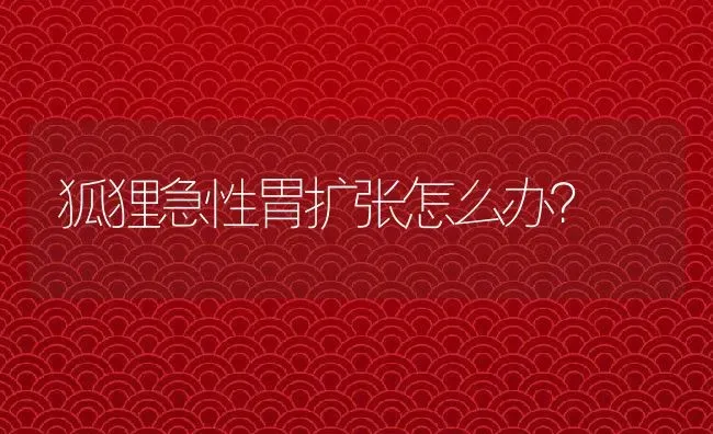 狐狸急性胃扩张怎么办？ | 动物养殖教程