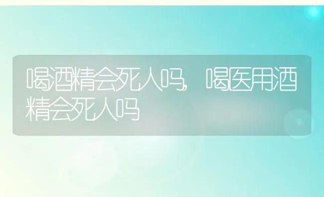 喝酒精会死人吗,喝医用酒精会死人吗 | 宠物百科知识