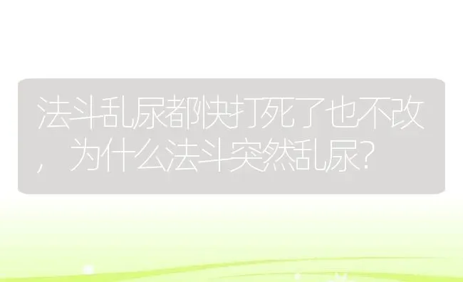 法斗乱尿都快打死了也不改,为什么法斗突然乱尿？ | 宠物百科知识