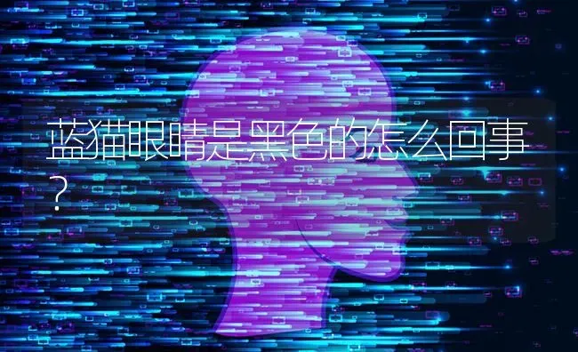 蓝猫眼睛是黑色的怎么回事？ | 动物养殖问答