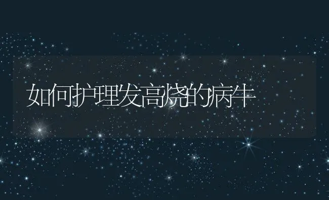 海南省罗非鱼健康养殖技术培训班传授养殖罗非鱼 | 海水养殖技术