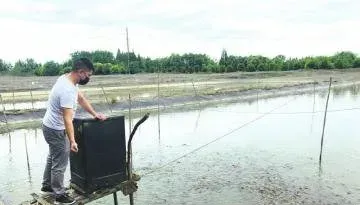 小伙跨行养殖台湾鳗鳅，一季一亩纯利润有1万多元！