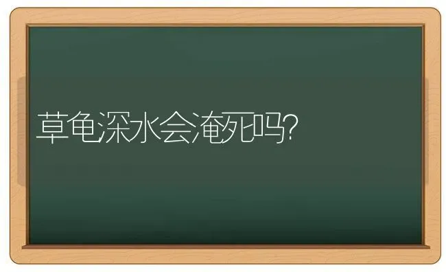 草龟深水会淹死吗？ | 动物养殖问答