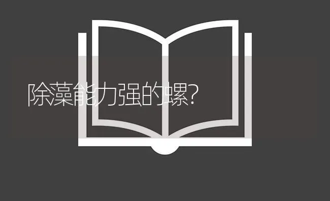 除藻能力强的螺？ | 鱼类宠物饲养