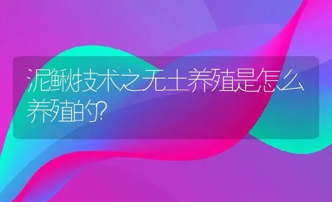 泥鳅技术之无土养殖是怎么养殖的？ | 动物养殖百科