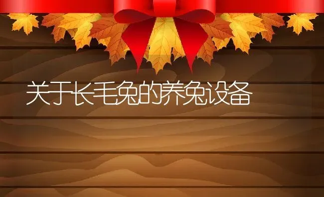关于长毛兔的养兔设备 | 动物养殖教程