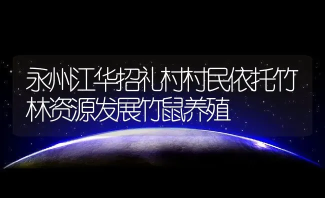 永州江华招礼村村民依托竹林资源发展竹鼠养殖 | 动物养殖教程