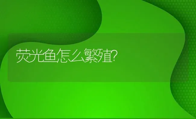 荧光鱼怎么繁殖？ | 鱼类宠物饲养