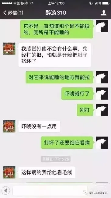 法斗不听话打哪里,狗狗不听话怎么打？