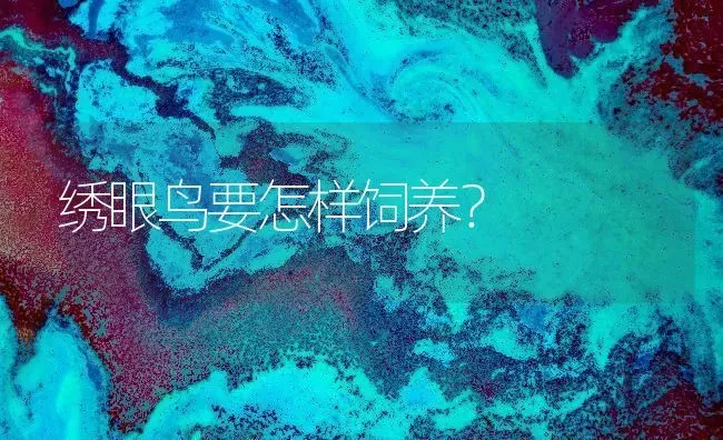 苏牧和金毛哪个好？ | 动物养殖问答