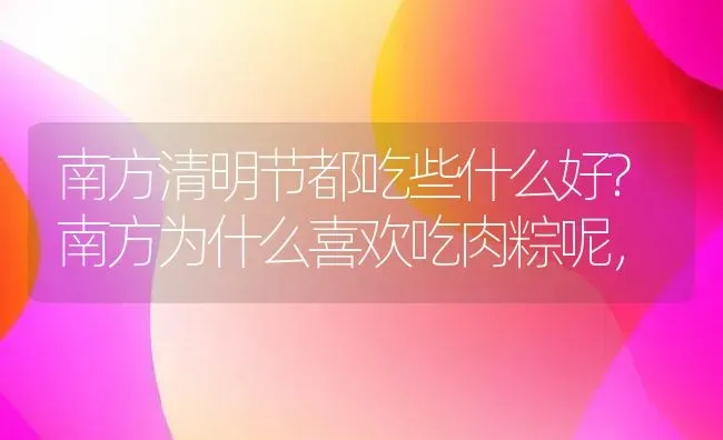 南方清明节都吃些什么好?南方为什么喜欢吃肉粽呢， | 动物养殖百科