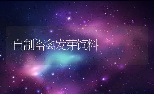 蝎子所需要的矿物质 | 动物养殖学堂