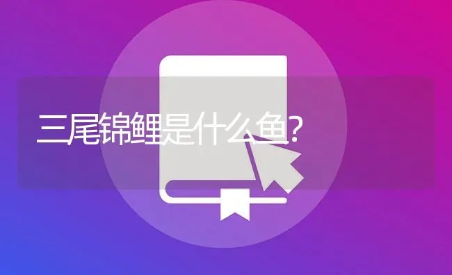 三尾锦鲤是什么鱼？ | 鱼类宠物饲养