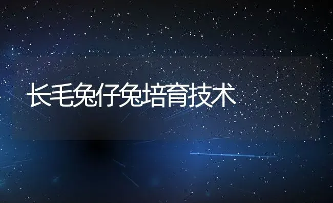 长毛兔仔兔培育技术 | 动物养殖教程