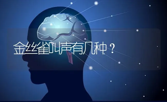 吉娃娃狗手脚不停抽动,食欲可以,怎么回事？ | 动物养殖问答