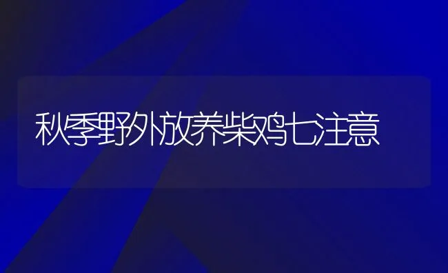 秋季野外放养柴鸡七注意 | 动物养殖饲料