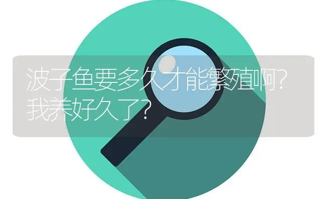 波子鱼要多久才能繁殖啊？我养好久了？ | 鱼类宠物饲养