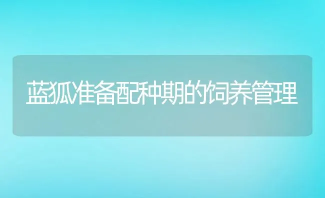 蓝狐准备配种期的饲养管理 | 水产养殖知识