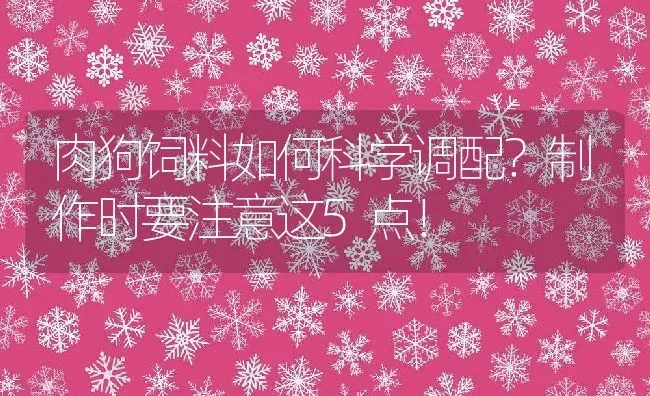 肉狗饲料如何科学调配？制作时要注意这5点！ | 动物养殖百科