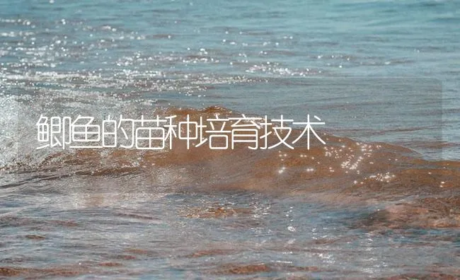 鲫鱼的苗种培育技术 | 海水养殖技术