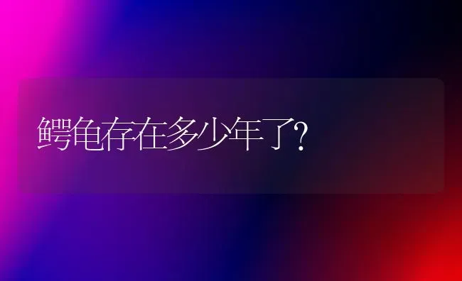 史宾格尾巴短是真的吗？ | 动物养殖问答