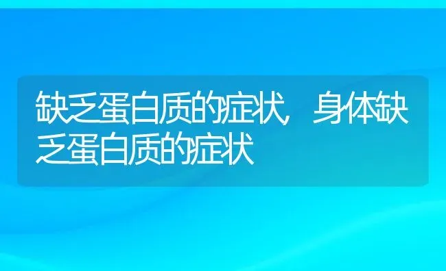 缺乏蛋白质的症状,身体缺乏蛋白质的症状 | 宠物百科知识