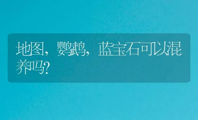 地图，鹦鹉，蓝宝石可以混养吗？ | 鱼类宠物饲养