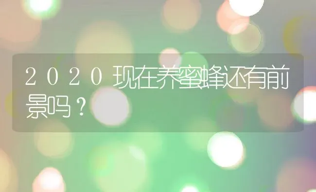 2020现在养蜜蜂还有前景吗？ | 动物养殖百科