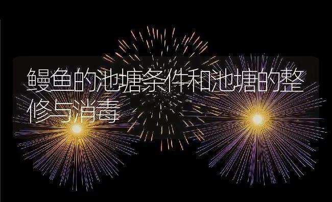 鳗鱼的池塘条件和池塘的整修与消毒 | 动物养殖教程