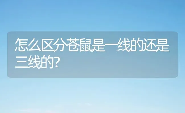 怎么区分苍鼠是一线的还是三线的？ | 动物养殖问答